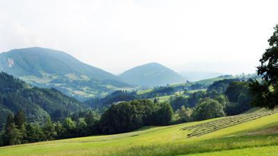 Maisberg-Tour Ybbsitz