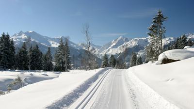 Mittersill: Hochmoor-Loipe
