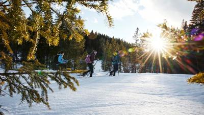 Mittersill: Schneeschuhwanderung Hochmoor Wasenmoos