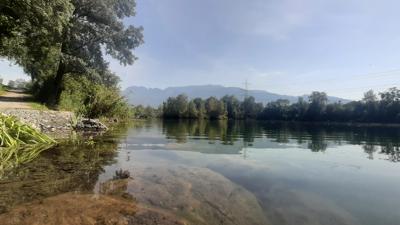 Naturrundweg: Alter Rhein (groß)