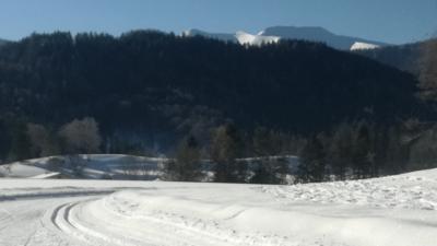 PANORAMALOIPEN – 2/3 Fuchsenloipe