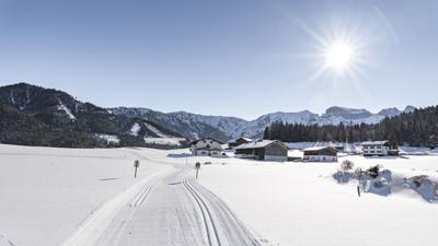 Panoramarunde