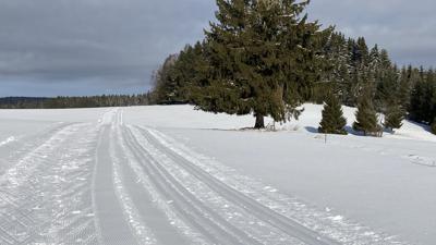 Plateauloipe – Nr. 32 (Hochplateau-Loipe St. Oswald)