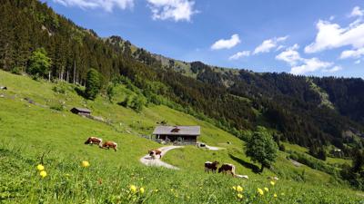 Aigenalm-Paulhütte
