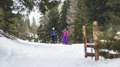Almenweg Schneeschuhtour