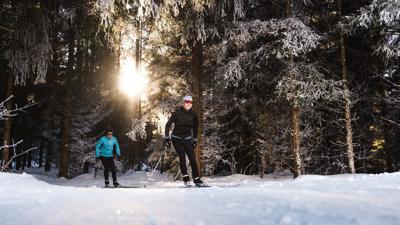 S3 Kollingwald Runde