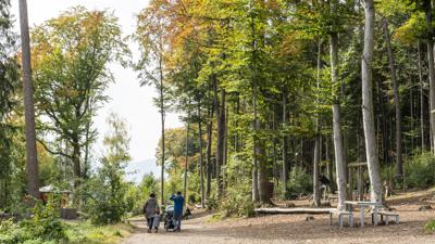 Sautränkeweg: Wege in den Wildpark Feldkirch