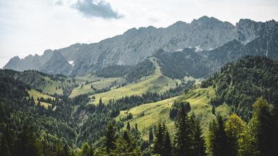 Scheffauer über Widauersteig