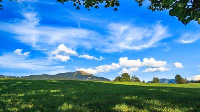 Schlenkenalmen Mountainbiketour ab Bad Vigaun (Bad Vigaun-Adnet-Schlenkenalmen-Bad Vigaun)