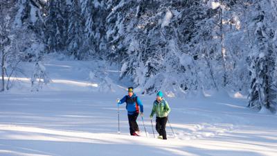 Schneeschuhwanderung Auer Wiesen