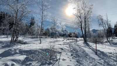 Schneeschuhwanderung Hochmoor Wasenmoos
