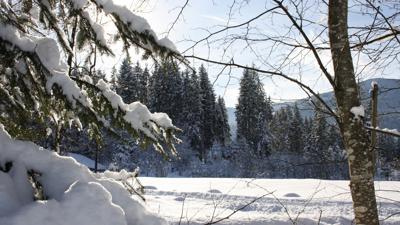 Schneeschuhwanderung am Sonnenplateau Westendorf