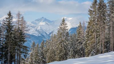 Schneeschuhwanderung von der Loas zum Gamsstein