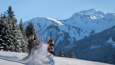 Schneeschuhwanderung zur Stallenalm