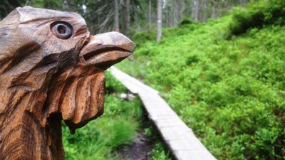 Schnitzerweg der Tiere