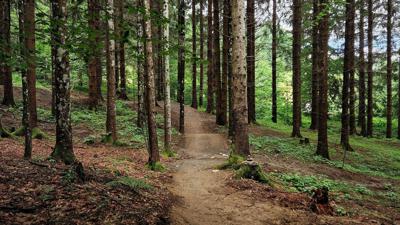 Sidegartner Trail – T44