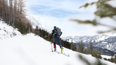 Skitour – über die Schmiedalm auf die Wurzeralm