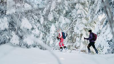 Skitour Schwaigalm über Forststrasse