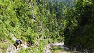 Am Triftsteig durch die große Schlucht