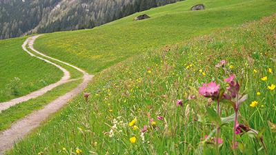 Themenweg: Leben am Fuße des Gletschers in Hintertux