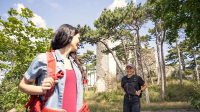 Wanderregion Anninger: Vom Bhf. Baden zur Rudolf-Proksch-Hütte und zurück