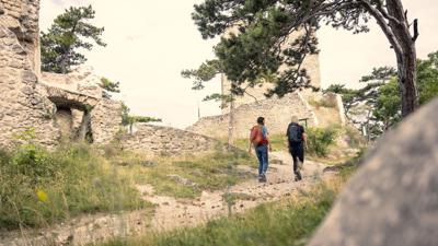 Wanderregion Anninger: Vom Bhf. Baden über Beethoven Spazierweg (Nr.40) zum Bhf. Mödling
