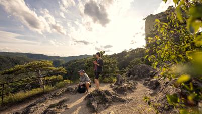 Wanderregion Anninger: Vom Bhf. Gumpoldskirchen über Anninger Schuzthaus zum Bhf. Pfaffstätten