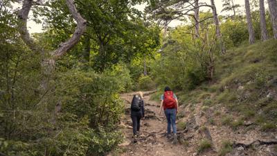 Wanderregion Anninger: Vom Bhf. Pfaffstätten über Anninger Schutzhaus zum Bhf. Gumpoldskirchen