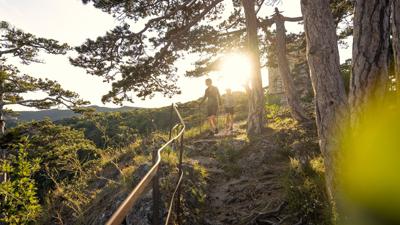 Wanderregion Anninger: Vom Bhf. Traiskirchen zur Rudolf-Proksch-Hütte