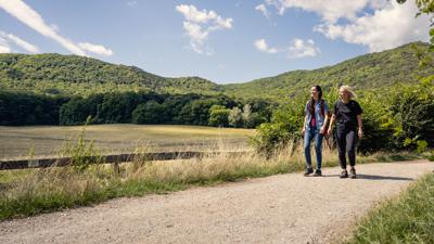 Wanderregion Anninger: Von Gaaden zur Rudolf-Proksch-Hütte