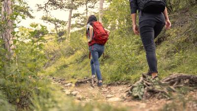 Wanderregion Anninger: Von Hinterbrühl zur Krausten Linde