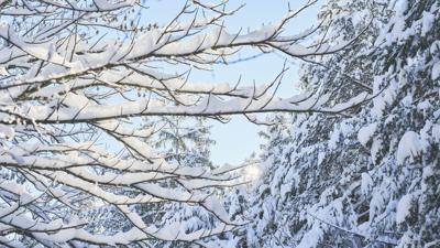 Winterrundwanderung auf dem Sintwag Höhenplateau