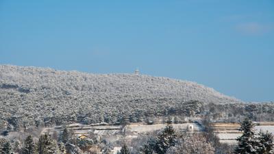 Winterrundwanderung um den Harzberg