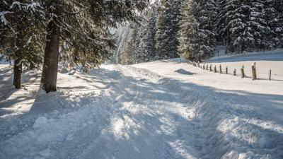 Winterwandern zur Klooalm