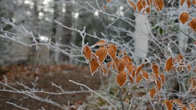 Winterwanderung G´schichten aus dem Wienerwald. Der Wanderweg – Etappe 1