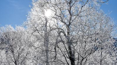 Winterwanderweg Richtung Adlerhorst