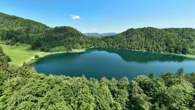 Zum Alatsee | MTB Tour