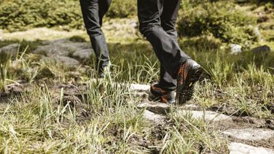 Bike & Hike Falkauns Alm – Gallruth Alm – Gallruth Stollen