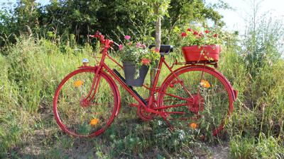 Blumen.rad.route