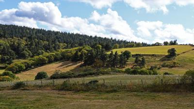 Noyal Land Rundgang