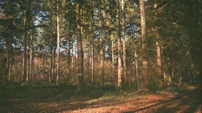 Inzinzac-Lochrist Wäscher Rundfahrt