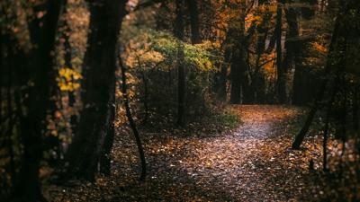Saint-Yvi Bois de Pleuven Rundfahrt