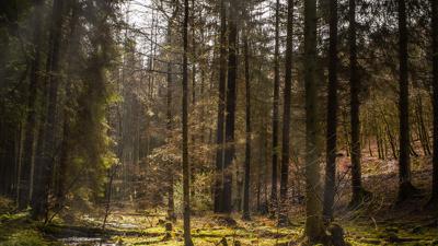 Landudal Odet Tal Rundfahrt