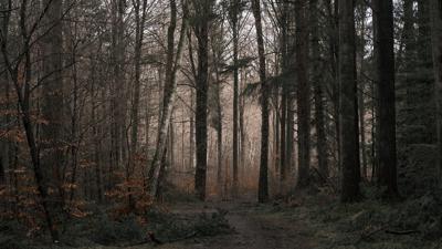 Bois Durat mit dem Mountainbike