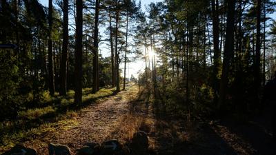 Molines mit dem Mountainbike