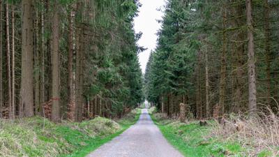 Les Myrtilles – Vars mit dem Mountainbike