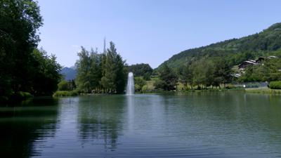 Wald und Alm von Faverge