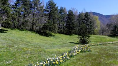 La Léchère Seen Trail