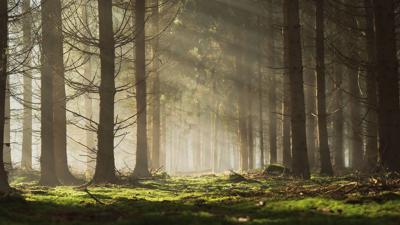 Die Morelli-Buzzi-Hütte und der Colle del Chiapous