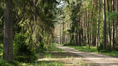 Oberer und Unterer Sellasee